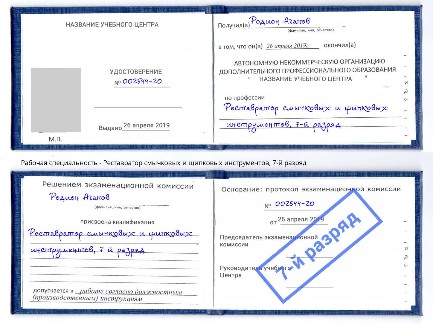 корочка 7-й разряд Реставратор смычковых и щипковых инструментов Ейск